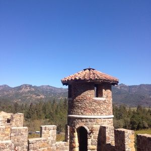 Meet your Posher, Elvis